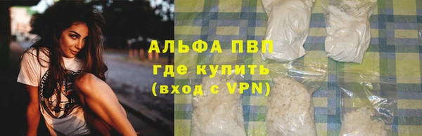 мяу мяу мука Инта