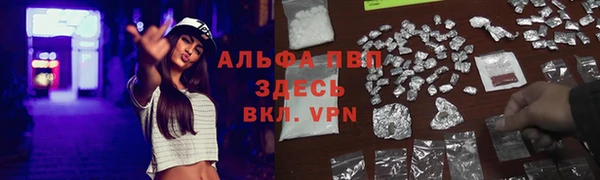 СК Инсар