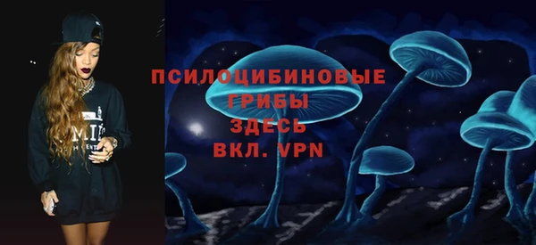 СК Инсар