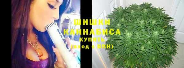spice Иннополис