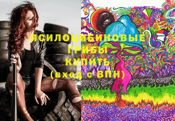 СК Инсар