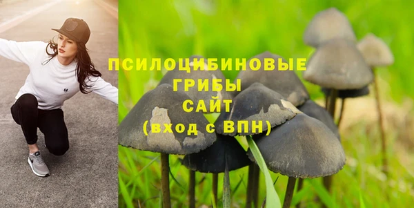 мяу мяу мука Инта